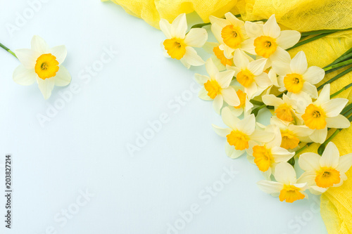 Fototapeta Naklejka Na Ścianę i Meble -  Daffodil spring flowers with yellow textile decoration on blue pastel background with copy space.