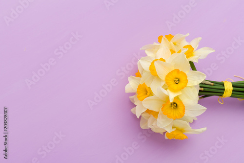 Fototapeta Naklejka Na Ścianę i Meble -  White daffodil bouquet on violet pastel background with copy space.