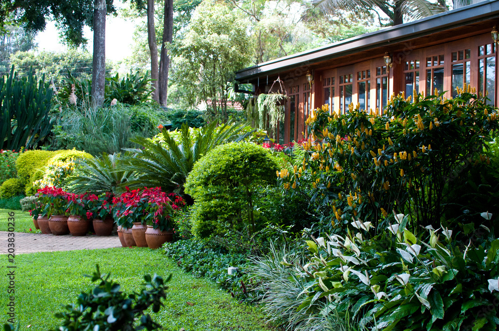 Tropical garden Kenya
