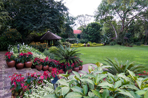 Fototapeta Naklejka Na Ścianę i Meble -  Tropical garden Kenya