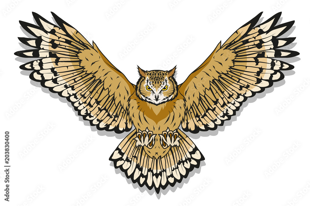 Naklejka premium Owl logo. Wild birds drawing. Head of an owl. Vector graphics to design.