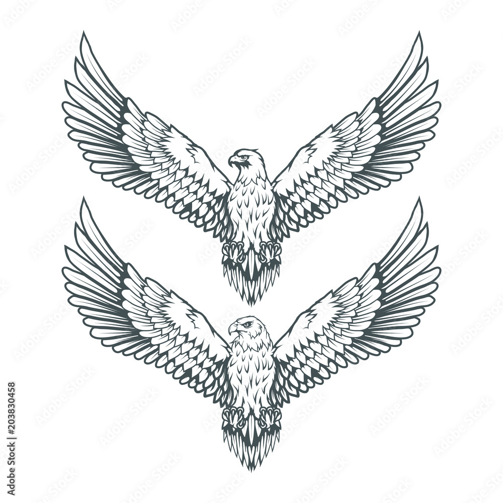 Obraz premium set of eagles. Bald eagle logo. Wild birds drawing. Head of an eagle. Vector graphics to design.