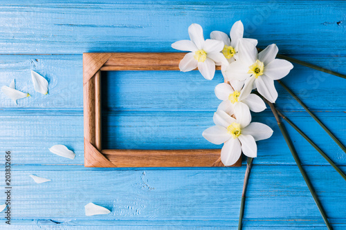 Fototapeta Naklejka Na Ścianę i Meble -  Daffodils with a wooden photo frame on a blue background