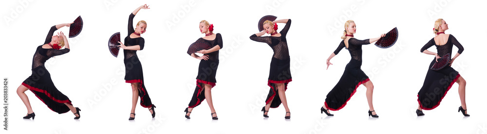Woman dancing spanish dance isolated on white Woman dancing spanish dance isolated on white