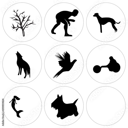 Set Of 9 simple editable icons such as scottie dog, mermaid, wheelchair racing