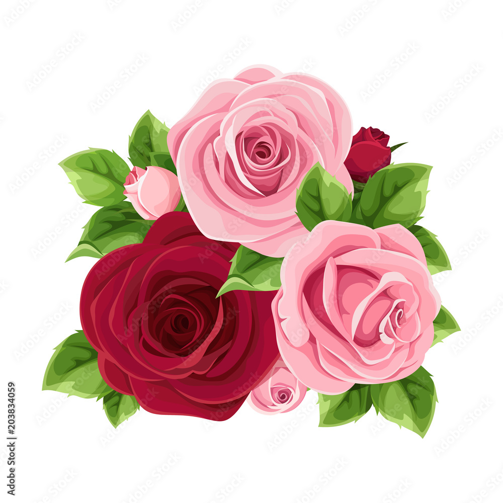 Vector pink and burgundy roses isolated on a white background. Vector pink and burgundy roses isolated on a white background.