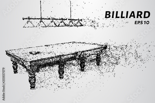 The billiard particle. Billiard table consists of dots and circles.