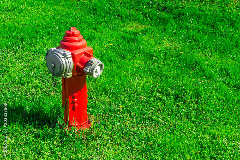 Red fire plug on green grass.