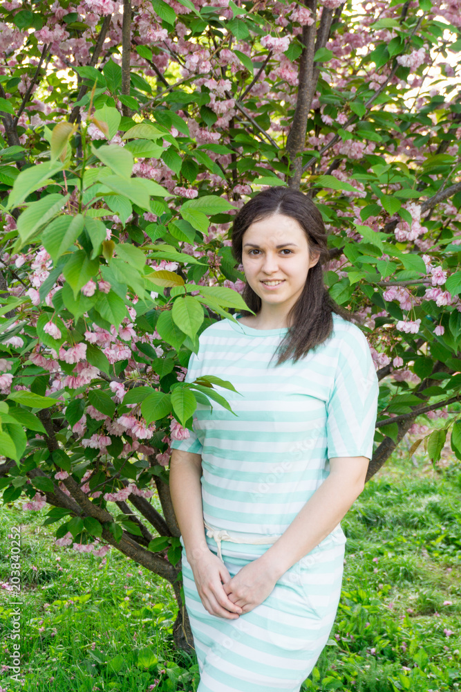 the girl is in sakura flowers the girl is in sakura flowers