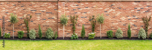 Bild auf Leinwand panoramic image of a newly planted garden or back yard of hardy trees, shrubs an