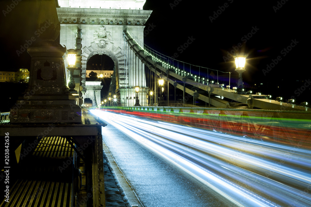Fototapeta premium budapest danubio ponte