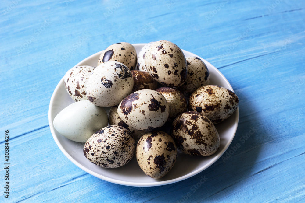 fresh quail eggs fresh quail eggs