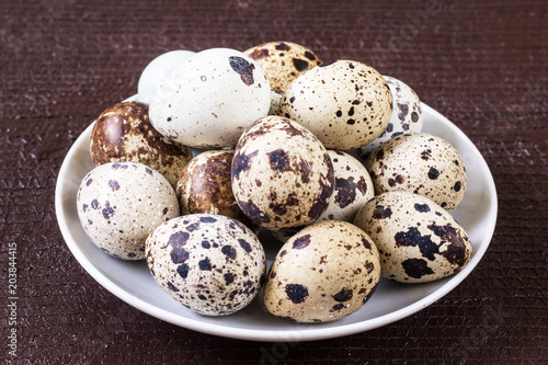 fresh quail eggs