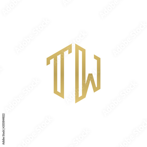 Initial letter TW  minimalist line art hexagon shape logo  gold color
