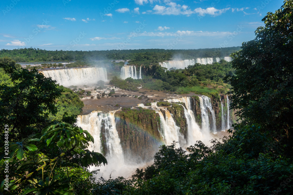 Fototapeta premium Iguazu Falls