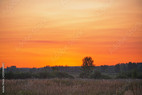 Sunset in summer field