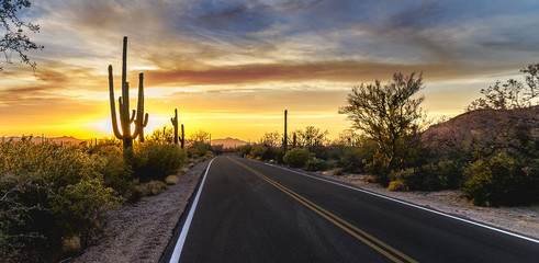 Fototapete Arizona Wüstenstraße bei Sonnenuntergang Arizona  © James Michael Images
