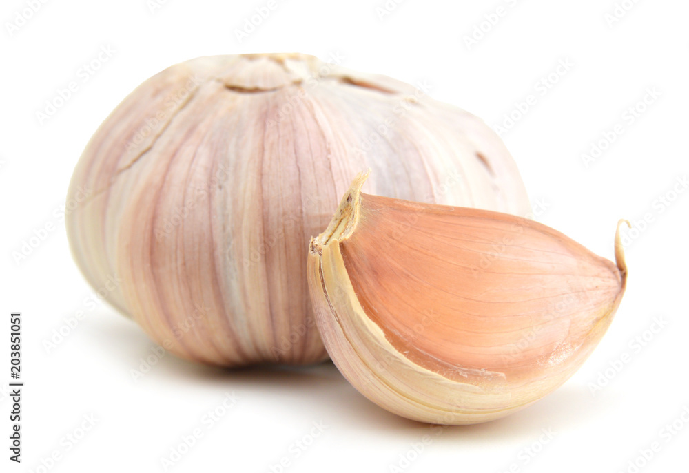 Obraz premium Garlic isolated on white background