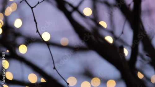 Beautiful abstract foliage bokeh of branches during twilight sunset golden hour time3 photo