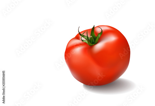 Vector illustration of big ripe red fresh tomato isolated on white background
