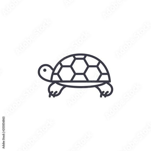 turtle vector line icon, sign, illustration on white background, editable strokes