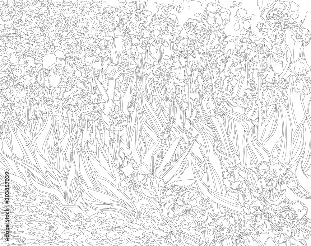 Irises (1889) by Vincent van Gogh adult coloring page Stock