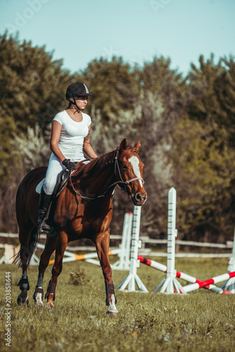 A woman jockey participates in competitions in equestrian sport, jumping.