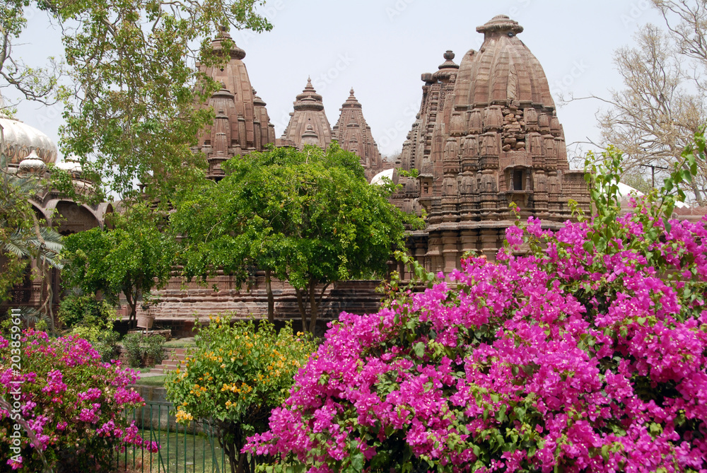 Cénotaphes royaux et massif de bougainvilliers, jardins de Mandore, Jodhpur, Rajasthan, Inde