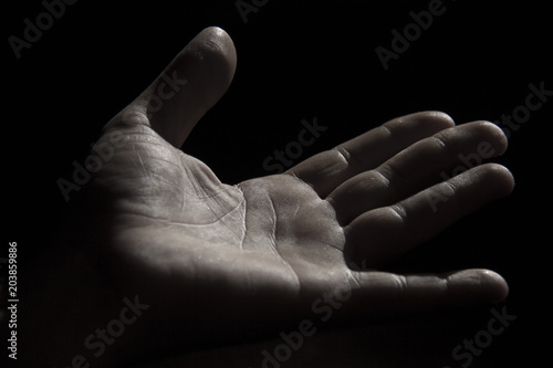 Tapety artystyczne palma de mano