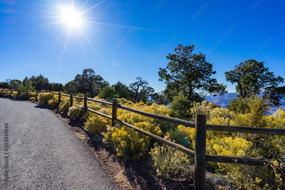 Fototapeta premium Desert View Watch Tower View with Green Grass and Tree and Sun light