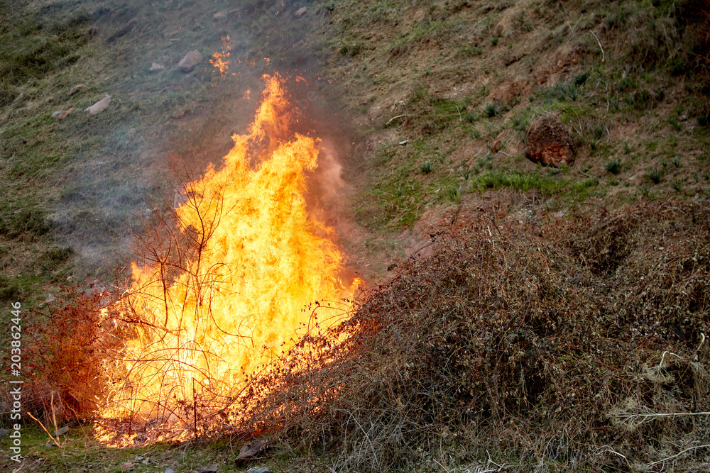 Fire, dry grass burns. Be careful with the fire in the open air Fire, dry grass burns. Be careful with the fire in the open air