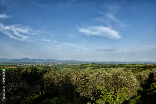 The hill of Tuscany, paradise is next /Tuscany My country My love, LOVELY EARTH from Italy, Tuscany land