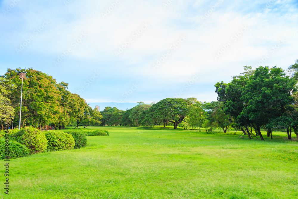 A beautiful lawn in the park with nature background.