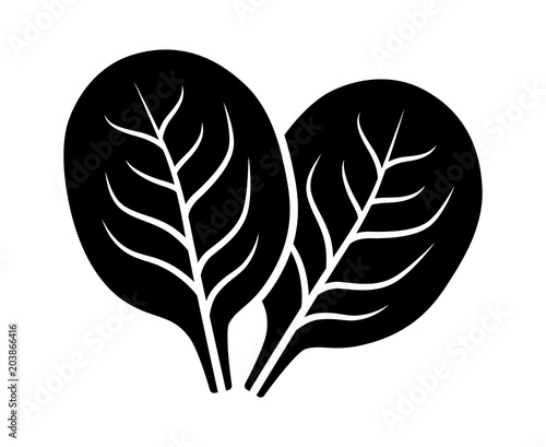 Two spinach vegetable leaves flat vector icon for food apps and websites
