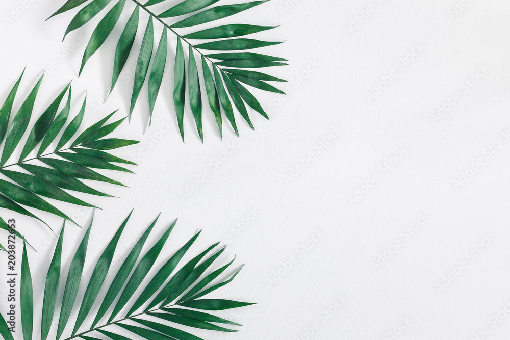 Leaf pattern. Green tropical leaves on gray background. Summer concept. Flat lay, top view, copy space
