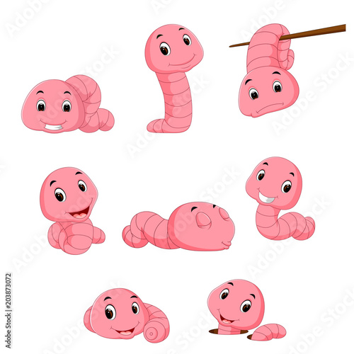 a group of worm on a white background