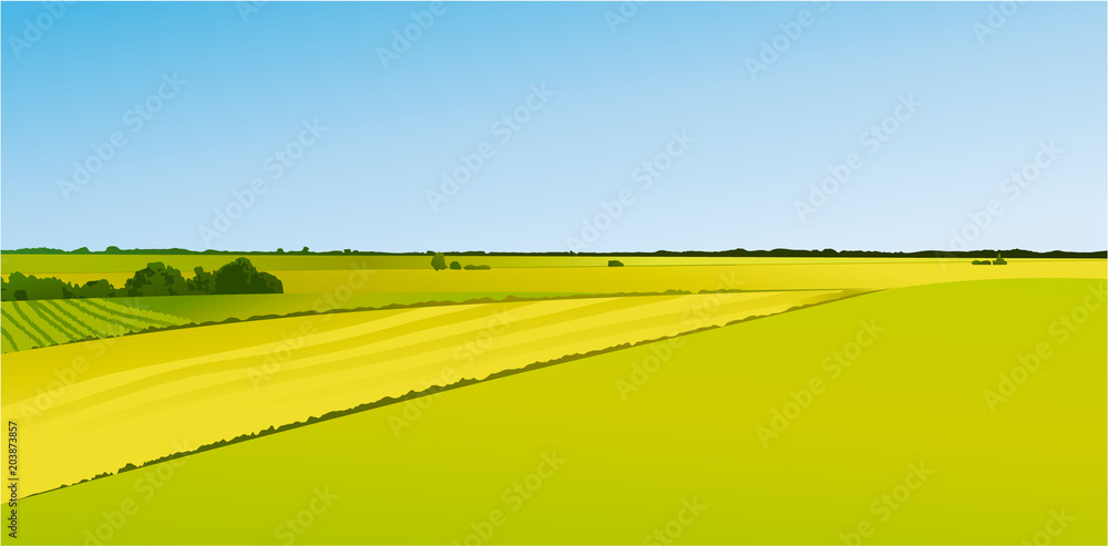Obraz premium Rural landscape with green fields