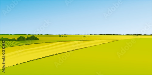 Rural landscape with green fields