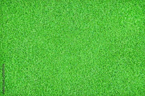 Seamless green grass natural background. Top view