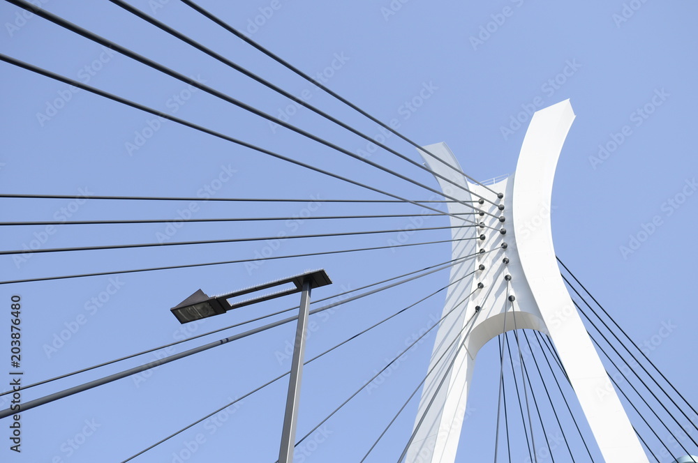 Fototapeta premium 斜張橋