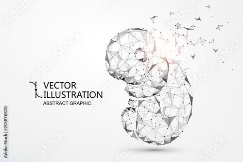 Artificial nurtured bionic fetuses, points and lines connected, vector illustration.