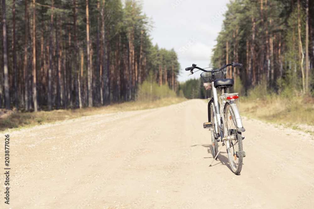 Bike on a forest trail in the morning. Bicycle riding in nature