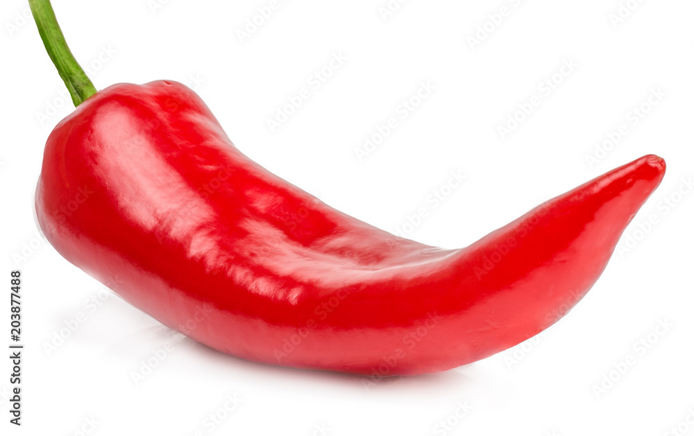 Bitter pepper isolated on white background Bitter pepper isolated on white background