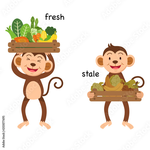Opposite fresh and stale vector illustration