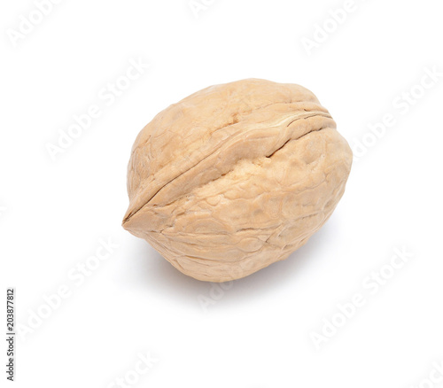 Walnut