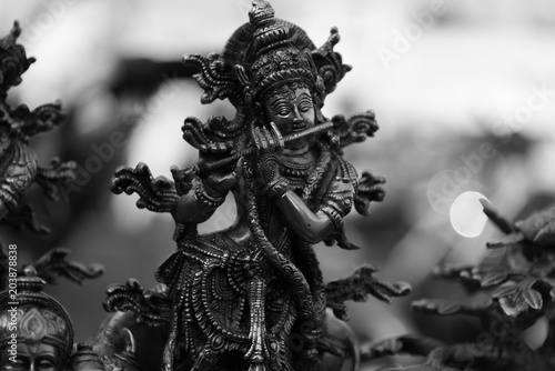 Lord Krishna BnW