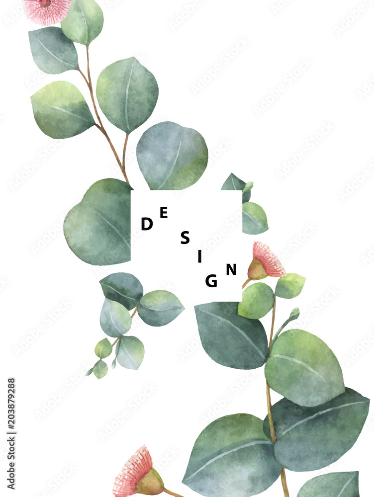 Obraz premium Watercolor vector template with green eucalyptus leaves and branches.