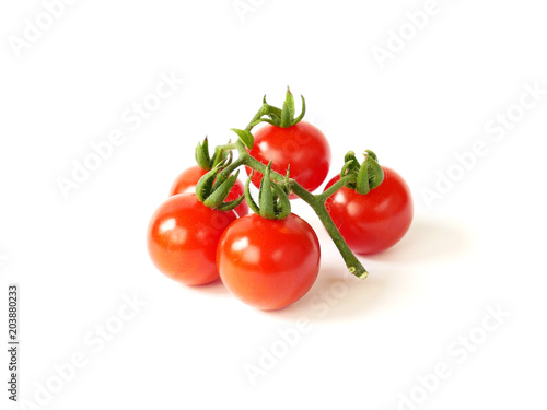 Branch of Tomatoes isolated on white background.