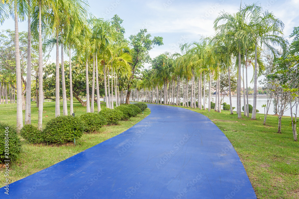 Naklejka premium Walkway for jogging in park