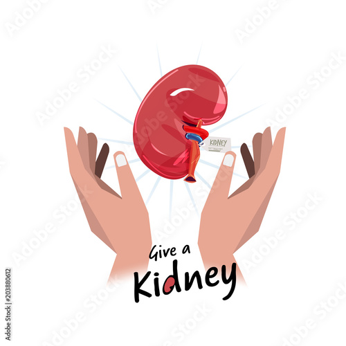 hand with kidney. hope for organ donation concept - vector